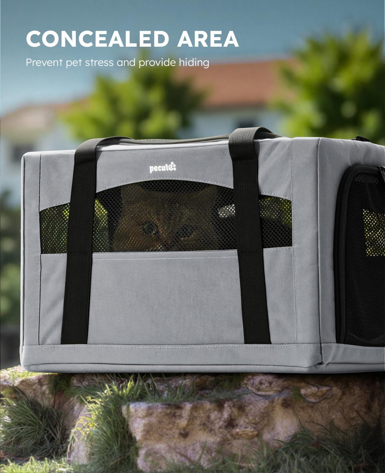 pecute Katzentransportbox Faltbar Stabiler Halt Haustier Tragetasche, Transportbox Katze Leicht, Faltbar Katzen Tasche für Katzen und kleine Hunde, ideal für Reisen, Grau