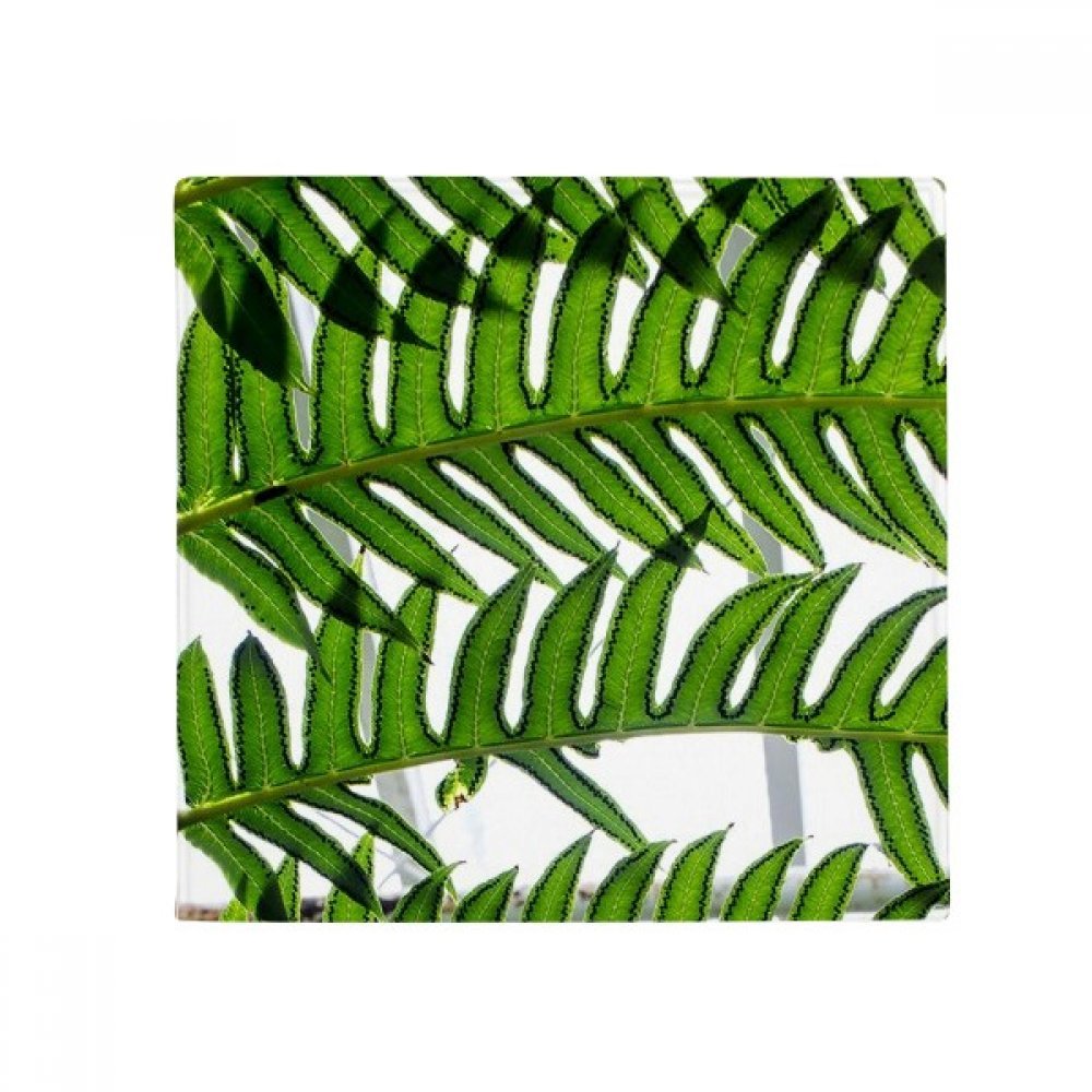 Pet mat de sol haut de gamme imprimé feuilles végétales multicolore antidérapant 50x50