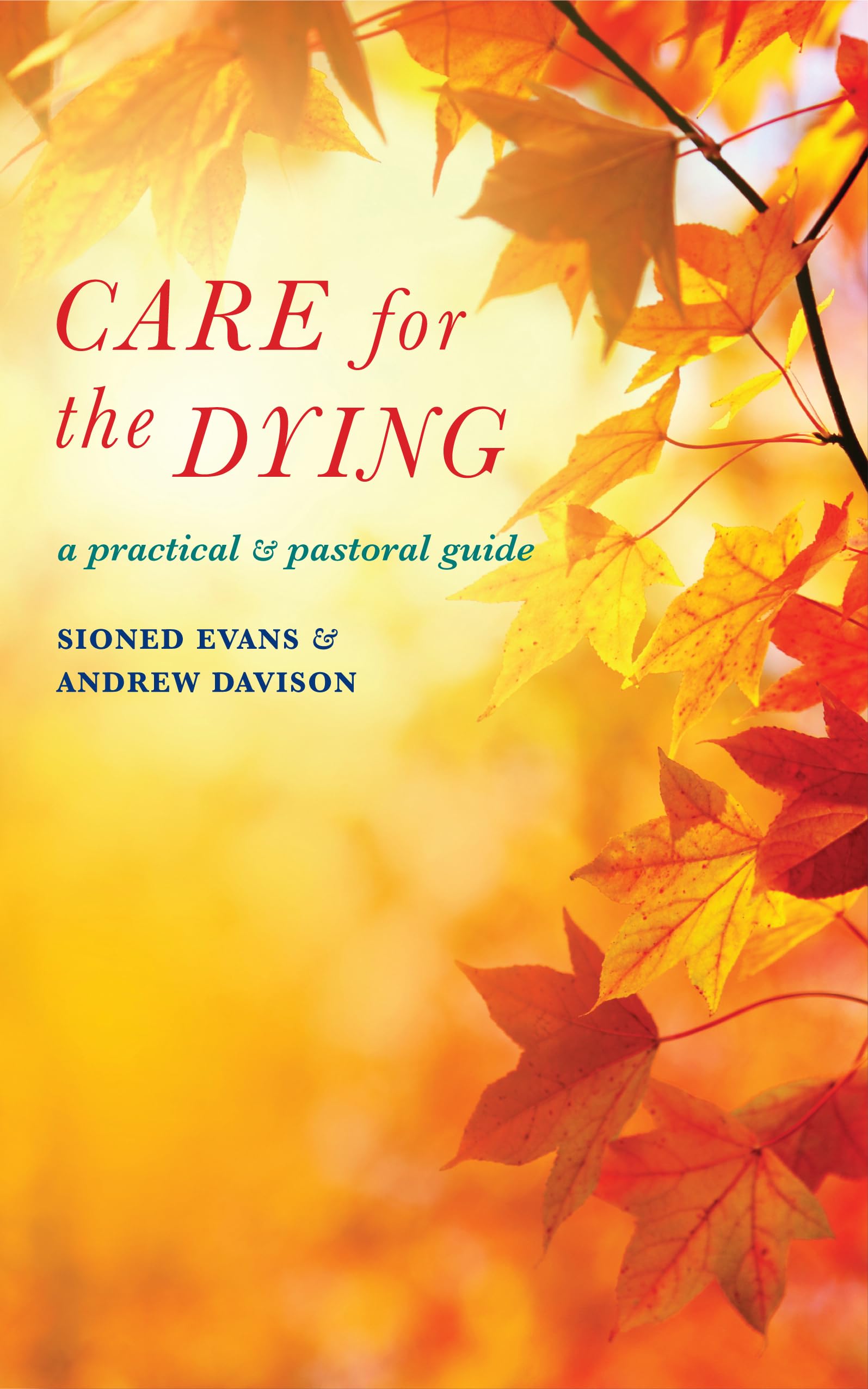 Care for the Dying by Sioned Evans, Andrew Davison, Sheila Ca... - 9781848254701