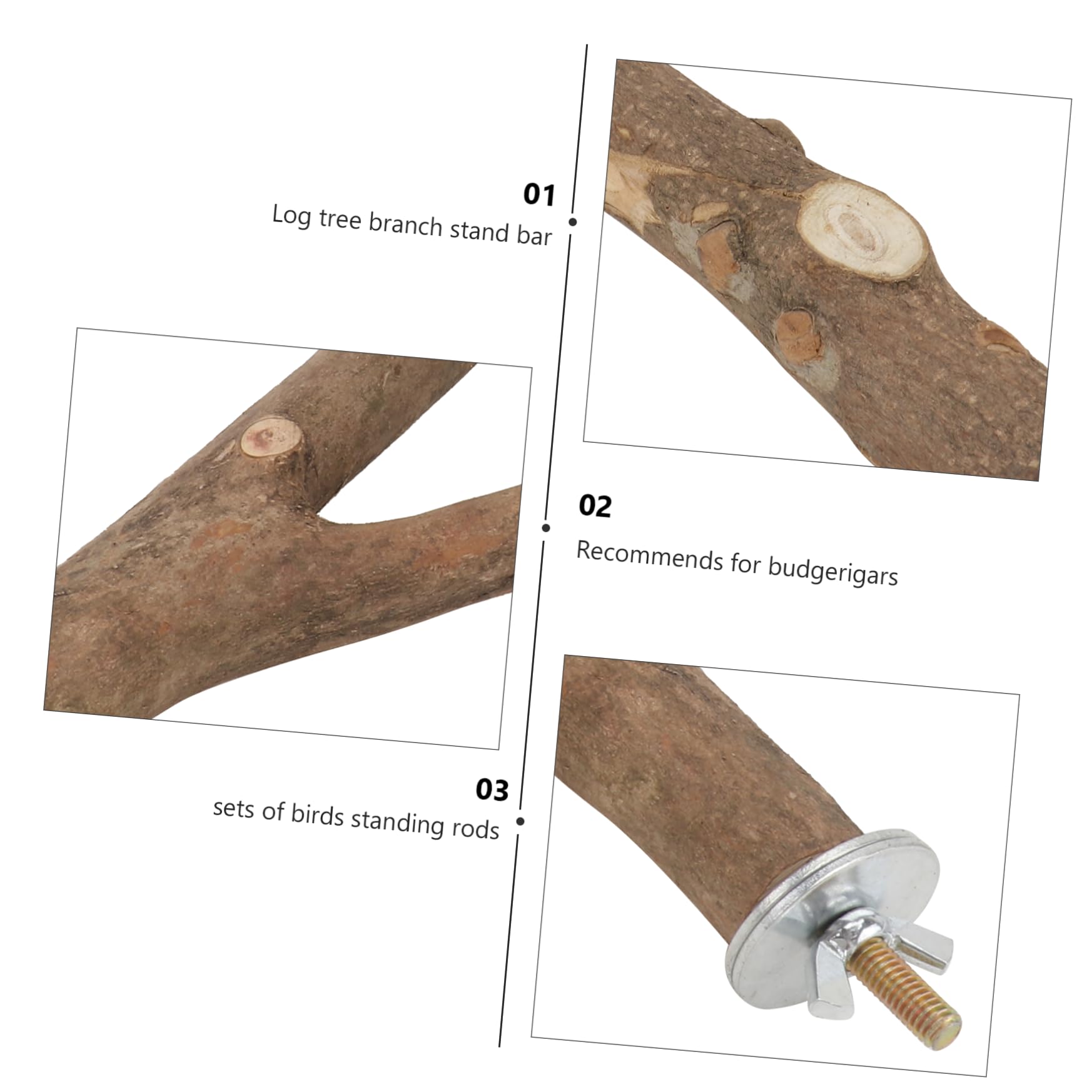 DOITOOL 5ensembles Perchoir à Oiseaux De Sèchage Naturel De Barres De Jeu pour Oiseaux avec Support Accessoires De Cage pour Perruches Et Perroquets Couleurs Aléatoires