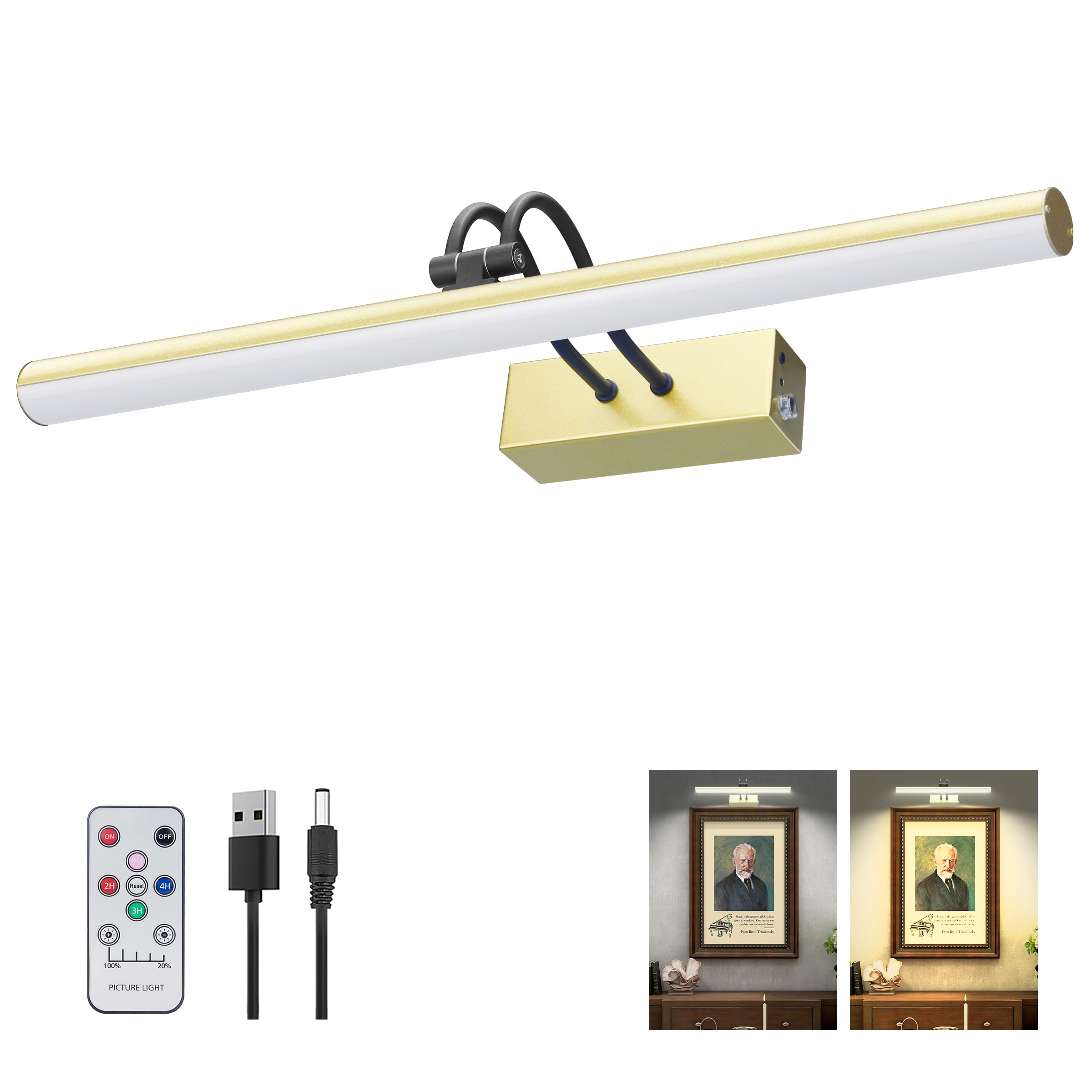 Picture Light,Picture Lights for Wall Cordless,16" Picture Lights with Timer and Dimmable,Battery Wall Lights for Display Gallery Painting Art Frame Portrait(GD+BK)