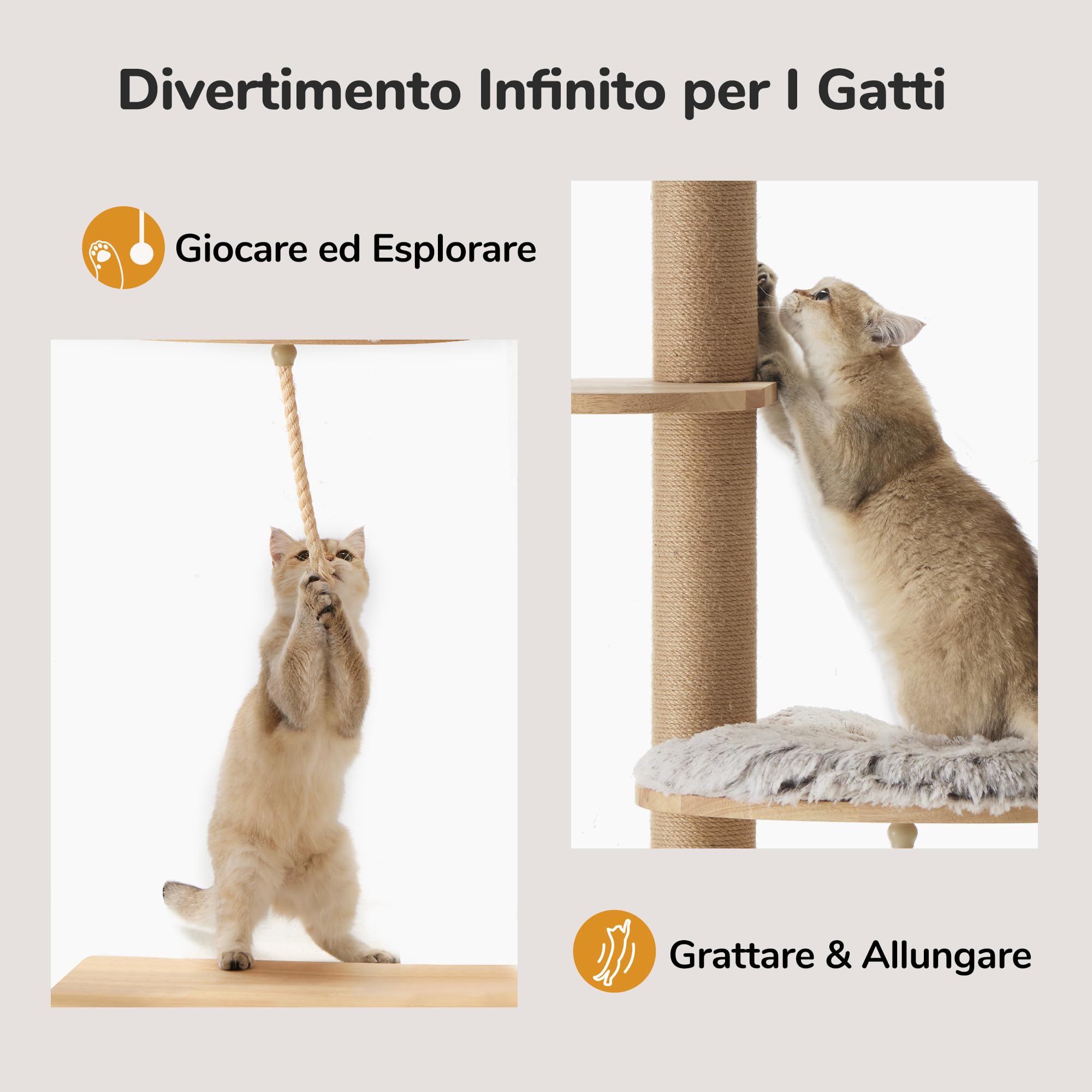FUKUMARU Castello Tiragraffi per Gatto da parete(188CM) Albero Tiragraffi per Gatti Multilivelli Fatto in Legno di Massello e Iuta.Castello con Cuccia, Amaca,Trespolo,Piattaforme e Spazzola per Gatti.