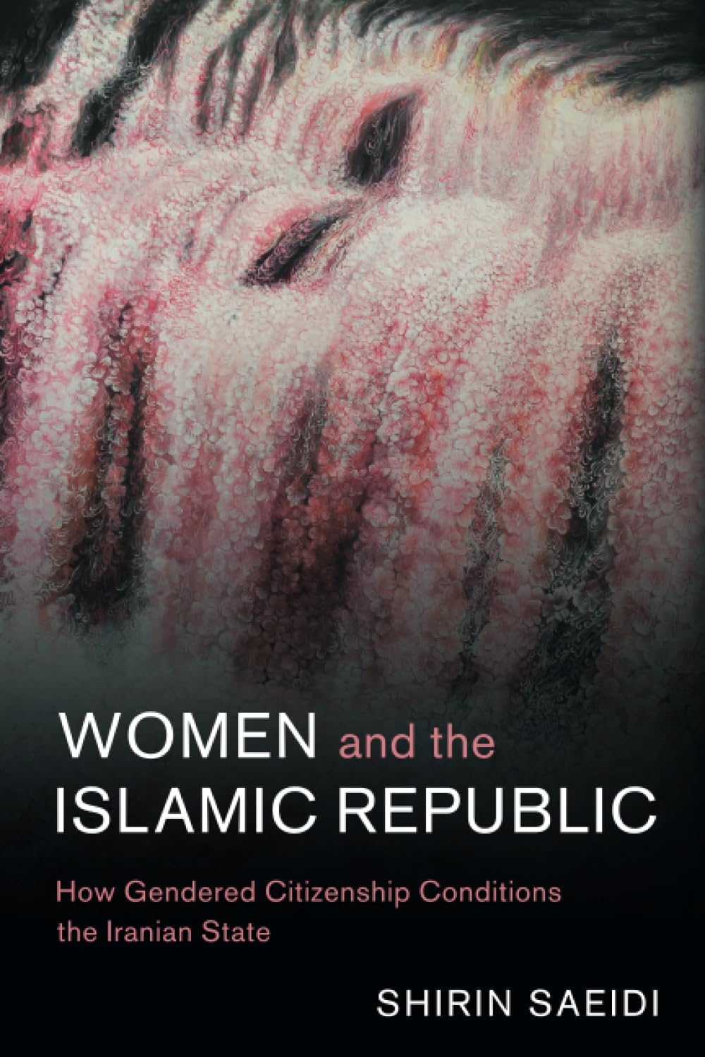 Women and the Islamic Republic: How Gendered Citizenship Conditions the Iranian State (Cambridge Middle East Studies, 66)