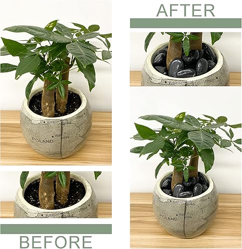 Miniatura 4 de Piedras negras pulidas naturales, rocas decorativas de río negro de 1.2 a 2 pulgadas para plantas, piedras para macetas, rocas de paisajismo,