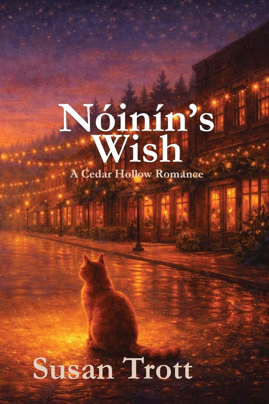 Nóinín's Wish: A Cedar Hollow Romance: 3
