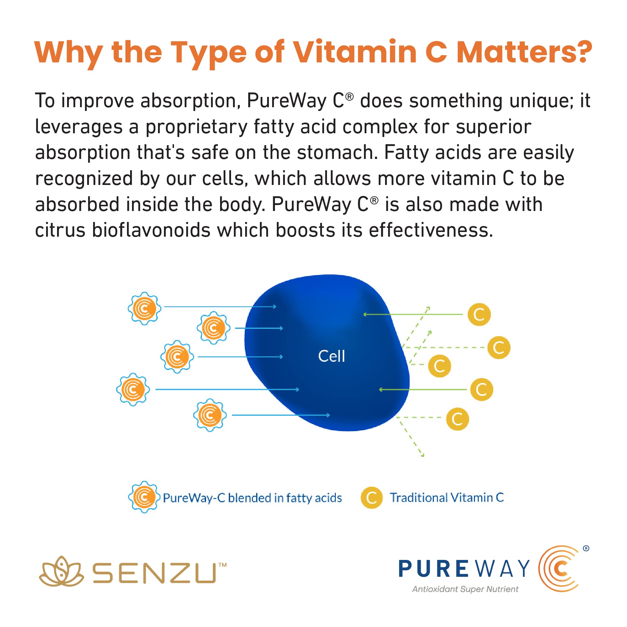 Vitamine C + Zinc + Sureau - Complément Immunitaire & Antioxydant - 30/60/120 Capsules - Neuf