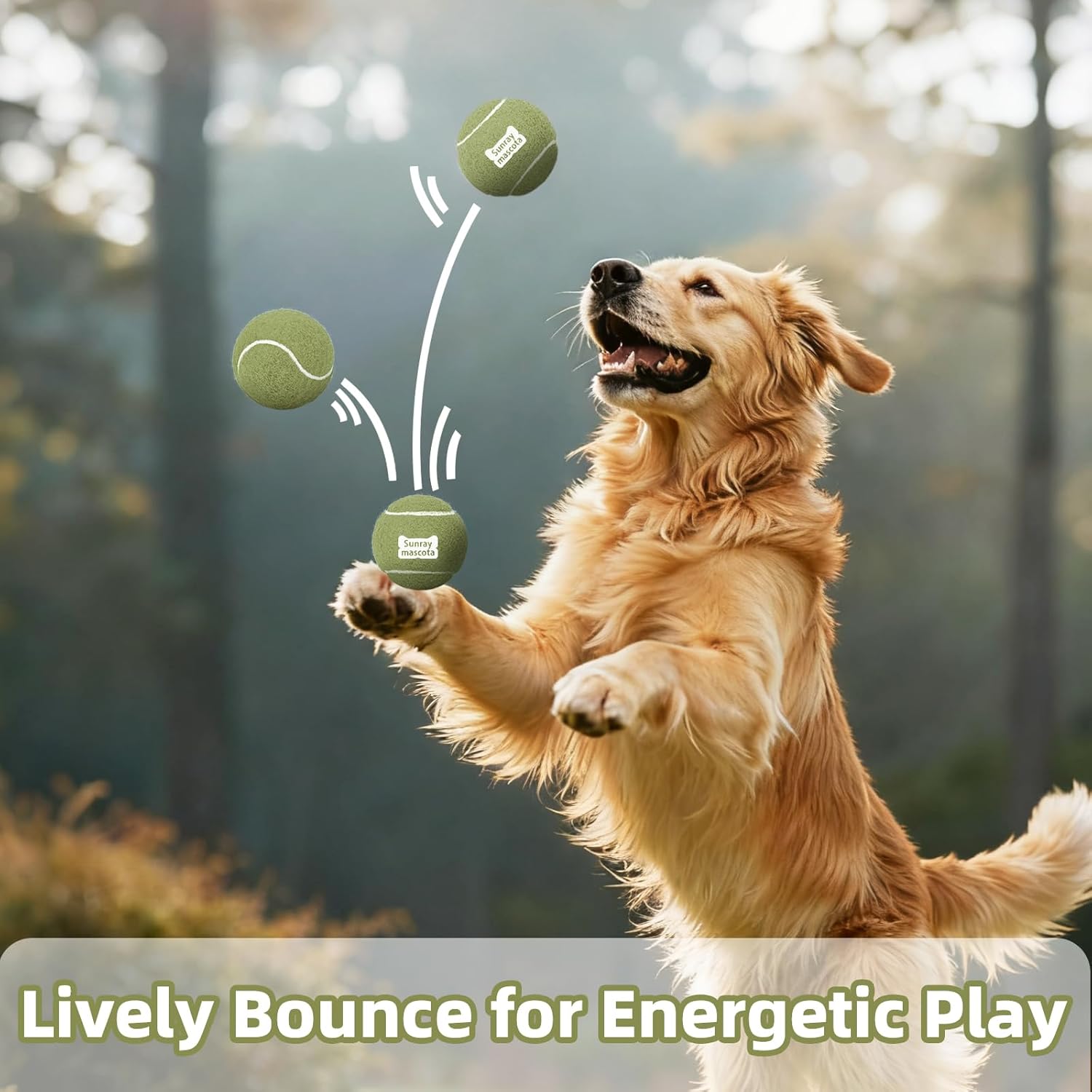2.5" Dog Tennis Balls 24-Pack – Silent Bounce, Tough Rubber Core, Durable Fetch & Training Toys for Indoor/Outdoor Play, for Small Medium Large Dogs (Macaron Mixed Colors, 24-Pack)