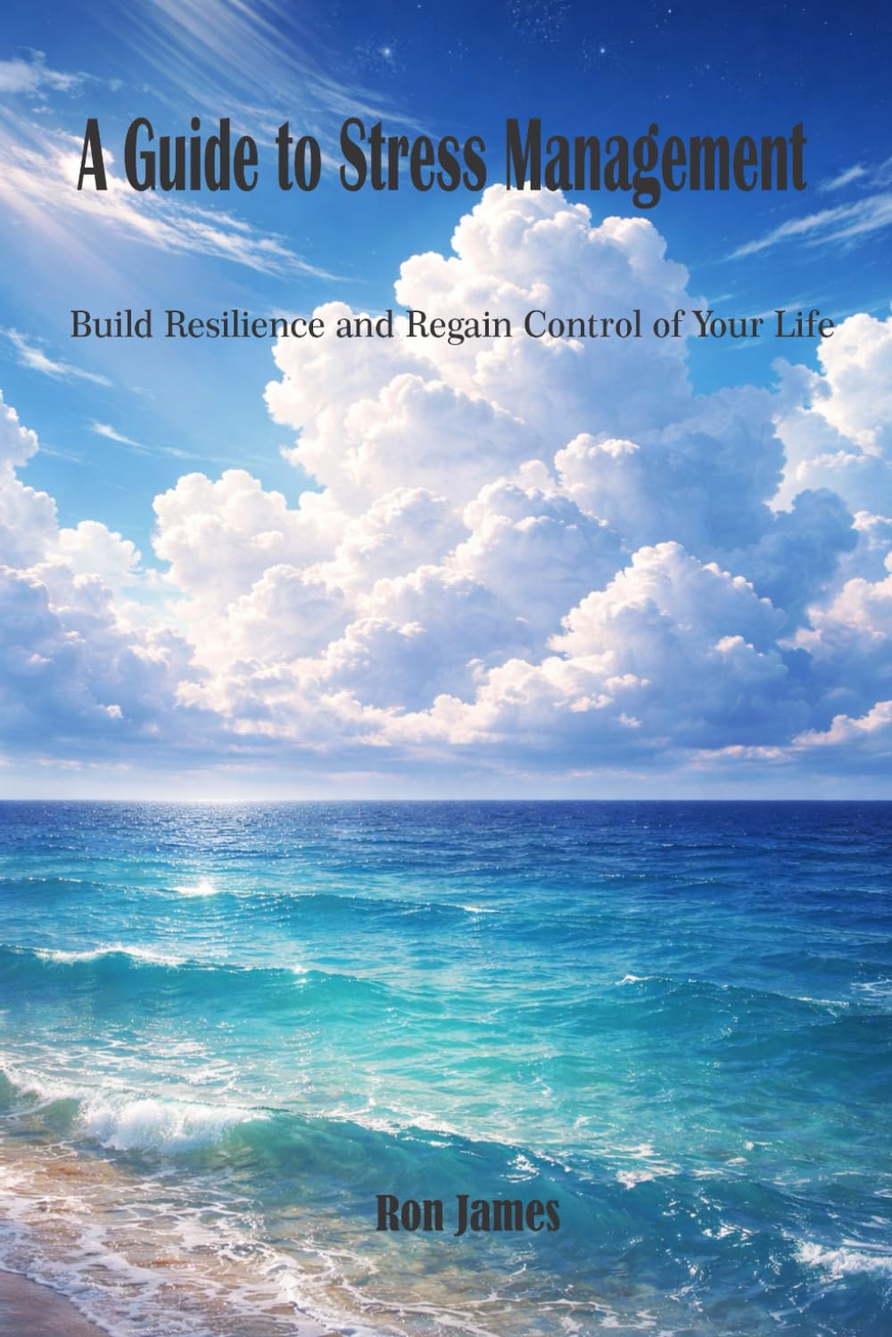 A Guide to Stress Management: Build Resilience And Regain Control Of Your Life