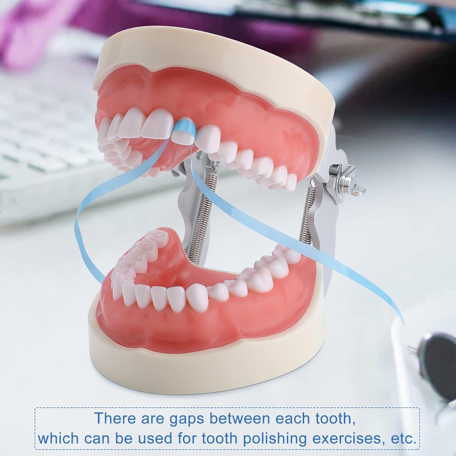 YOUYA DENTAL TM-021 Dentale Typodont Dentale - Foto 4