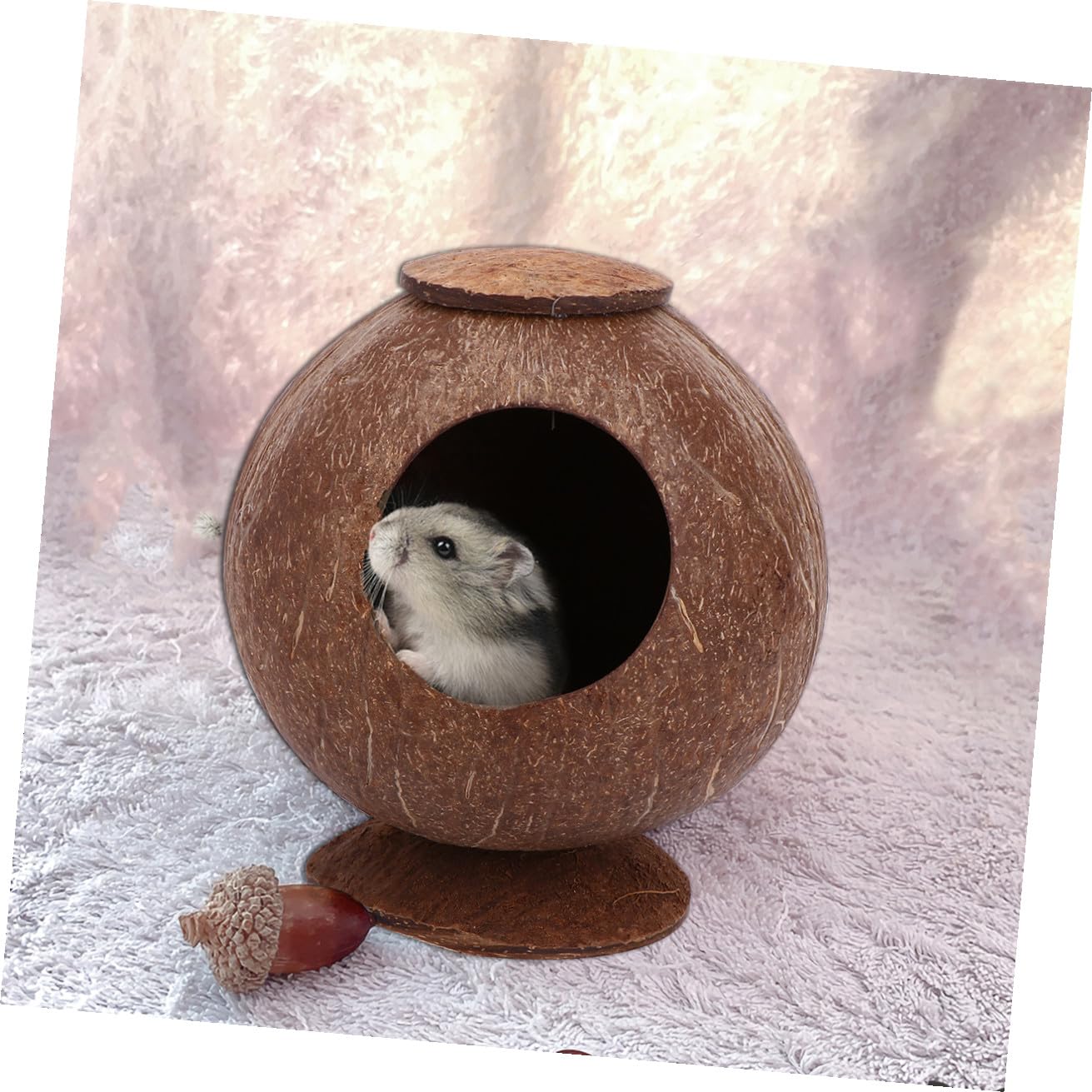 Sosoport 2stücke Poliertes Kokosnussschalen-Nest Für Haustiere Für Vögel Hamster Und Eichhörnchen Mit Basis Für Desktop Langlebig Und Natürlich Perfektes Schlafplatz Für Ihr Tier