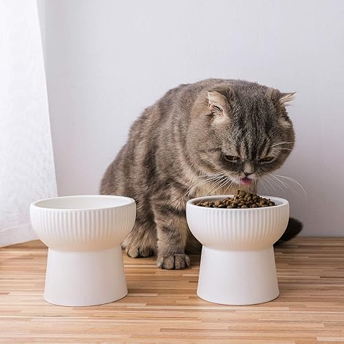 Miniatura 6 de Tazón de cerámica para gatos elevados, blanco de 15 onzas con soporte, protege la columna vertebral del gato, sin estrés, prevención de reflujo y