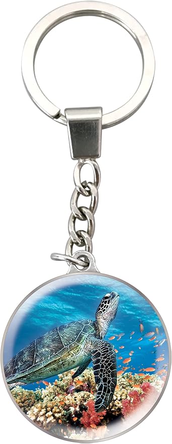 Deluxebase Magnidome Keychain from Dome Shaped Picture Key Ring with Stainless Steel Chain. Crystal Glass Dome Key Chain