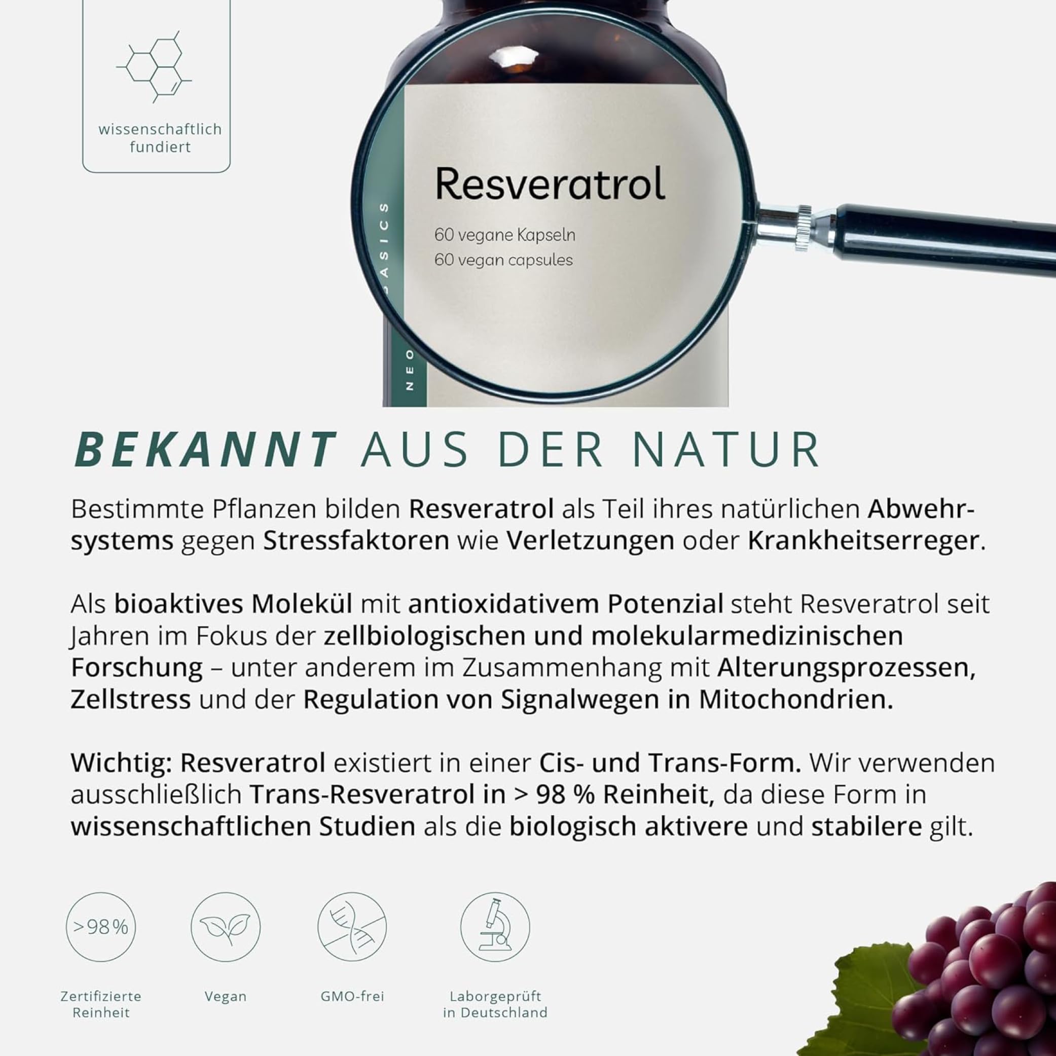 Longevity Bundle Betain TMG + Resveratrol + Alpha Ketoglutarat | 3er Kapsel Set | Hochdosiert & vegan | Ohne Zusatzstoffe | Premium Qualität | Daily Stack