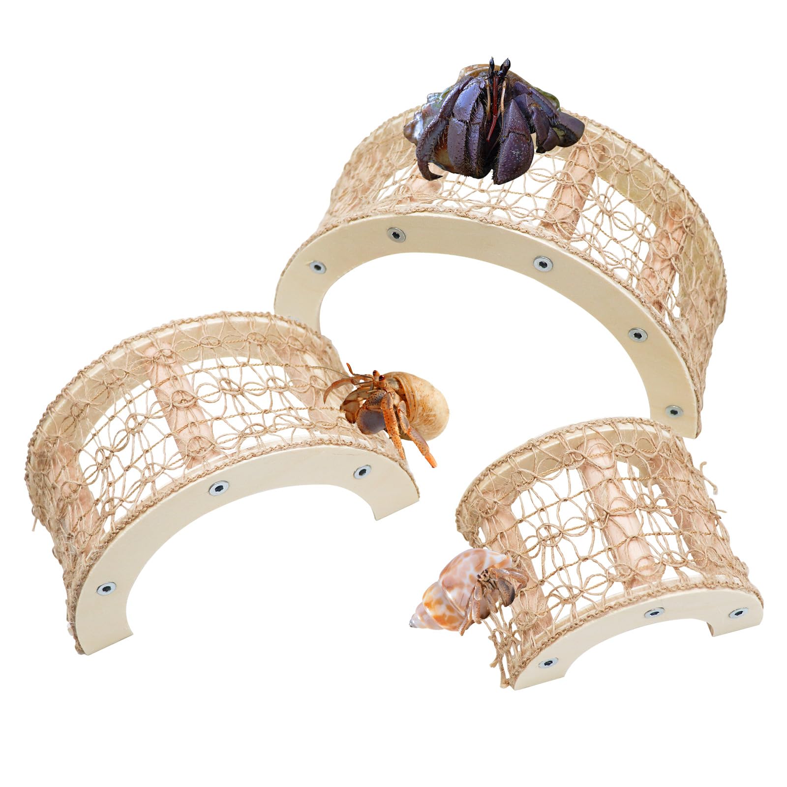 Amazon.com : 3 Pcs Hermit Crabs Climbing Toys, Natural Wooden and