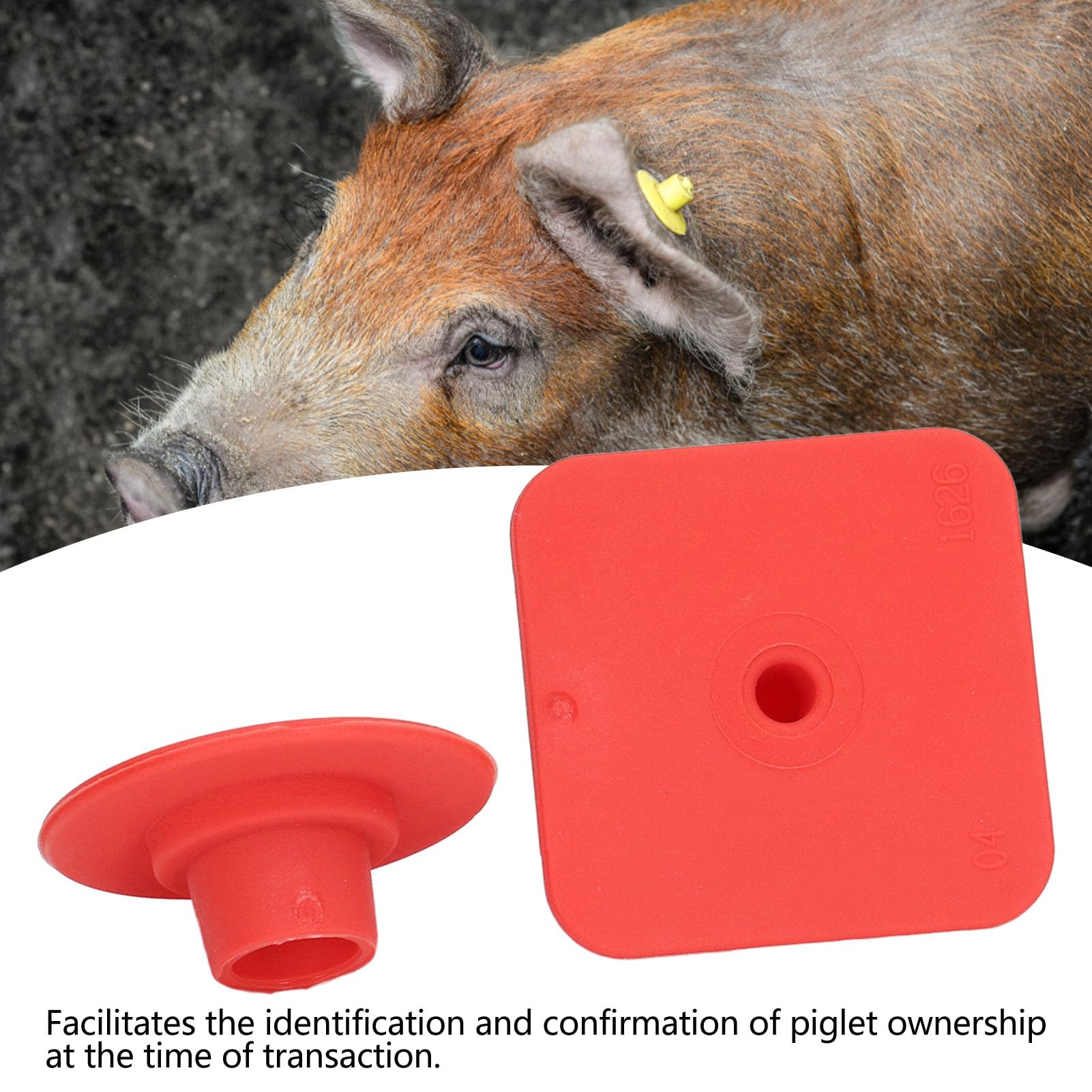 100 Szt. Pusty Kolczyk Świnia, 1,3 Cala Plastikowy Kwadrat Swobodnie Pisz Kolczyki do Uszu Zwierząt Gospodarskich Taglivestock Kolczyki do Identyfikacji Informacji O Zwierzętach Hodowlanych(#3)