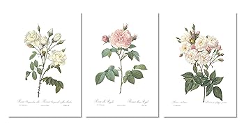BOTANICAL ART 【import品】 BOTANICAL ART 【import品】 flowers-garden-victorian-