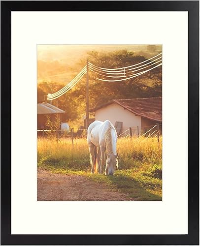 AUEAR, Portarretratos de 11 x 14 pulgadas, para fotos de 8 x 10 pulgadas con paspartú o marco de póster de 11 x 14 pulgadas, marco de fotos de pared