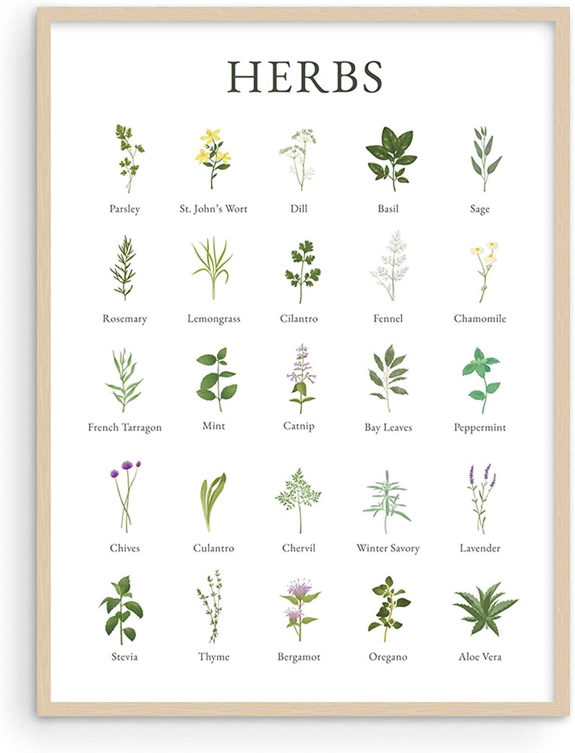 Herb Pictures for Kitchen Wall Art by Haus and Hues Kitchen Herbs