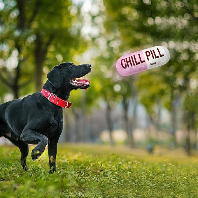 Juguete para Perros Wanheart Funny Chill Pill, Mordible y Sonoro miniatura 6