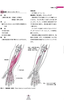 身体運動の機能解剖 | Clem W. Thompson, R. T. Floyd, 中村 千秋