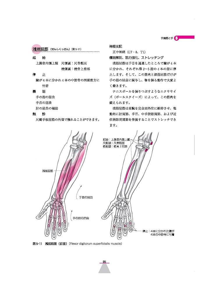 身体運動の機能解剖 | Clem W. Thompson, R. T. Floyd, 中村