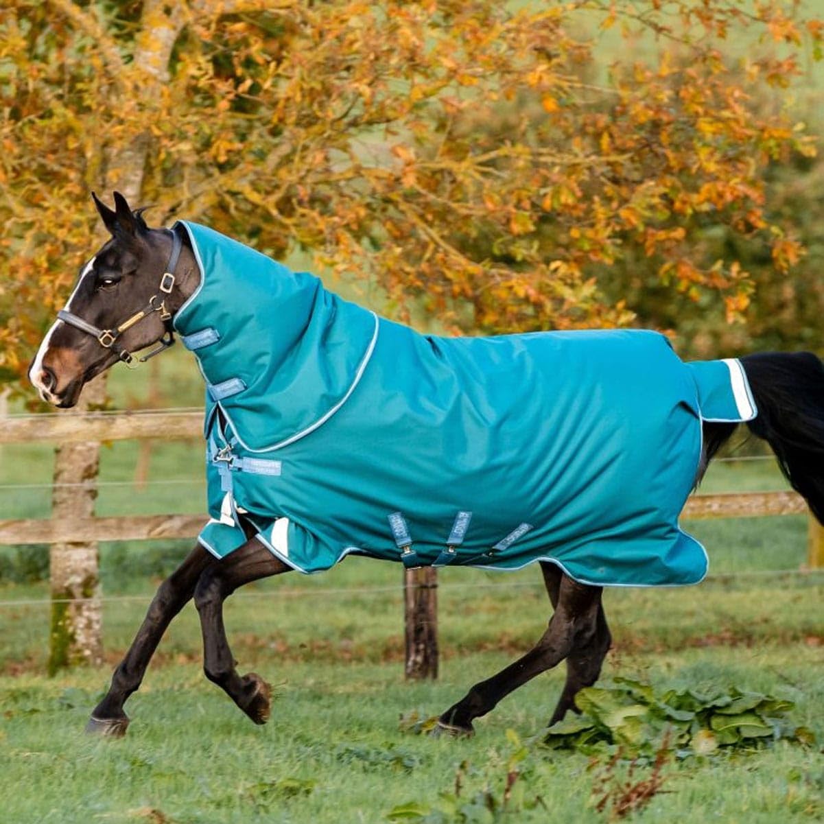 Horseware Manta para Caballos Invierno Cubierta exterior Caballo 400g con cuello Amigo Bravo 12 Plus Heavy