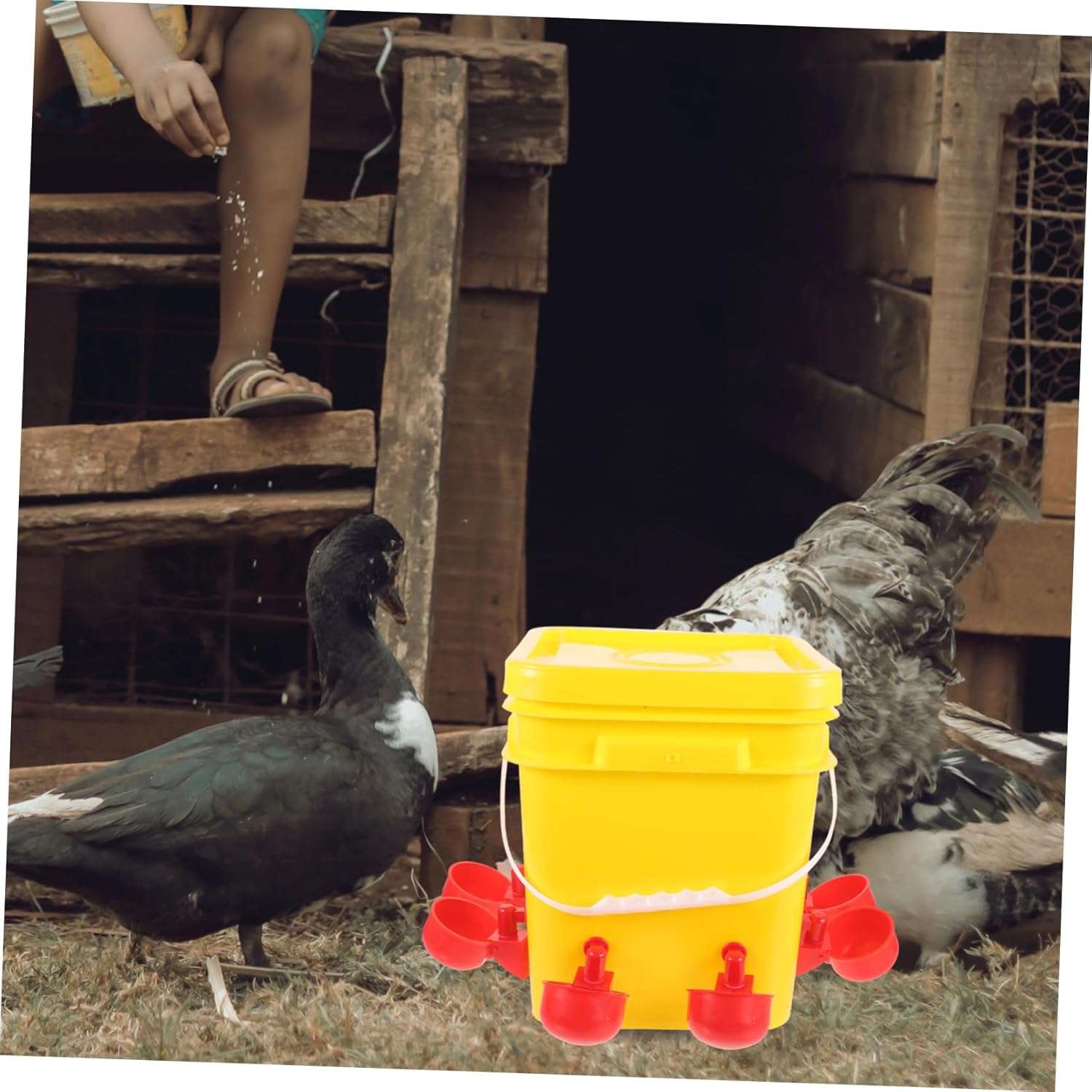 BESPORTBLE Automatic Chicken Trough Portable Poultry Feeder for Chickens Chick Feeder Reusable Easy to Clean for Chick Supplies