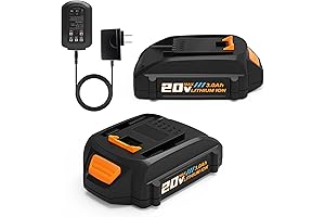 WORX Power Share 20V Battery and Charger Kit