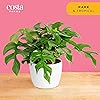 Product Photo 3