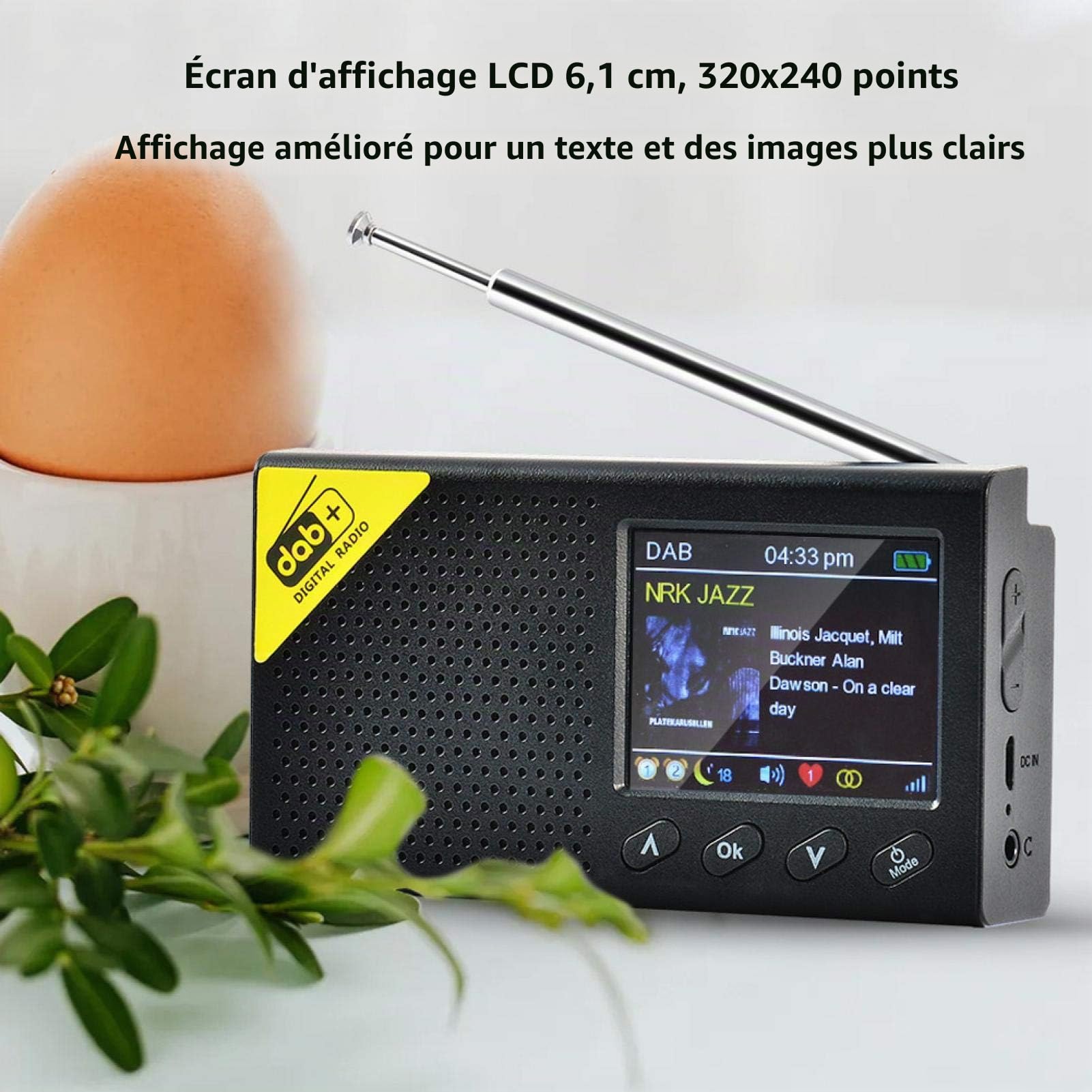 Radio numérique, Bluetooth 5.0 Écran LCD de 2,4 Pouces Radio FM numérique Portable Rechargeable Dab à la Maison utilisant la Radio numérique, pour l'extérieur/Chambres/Maison/Bureau