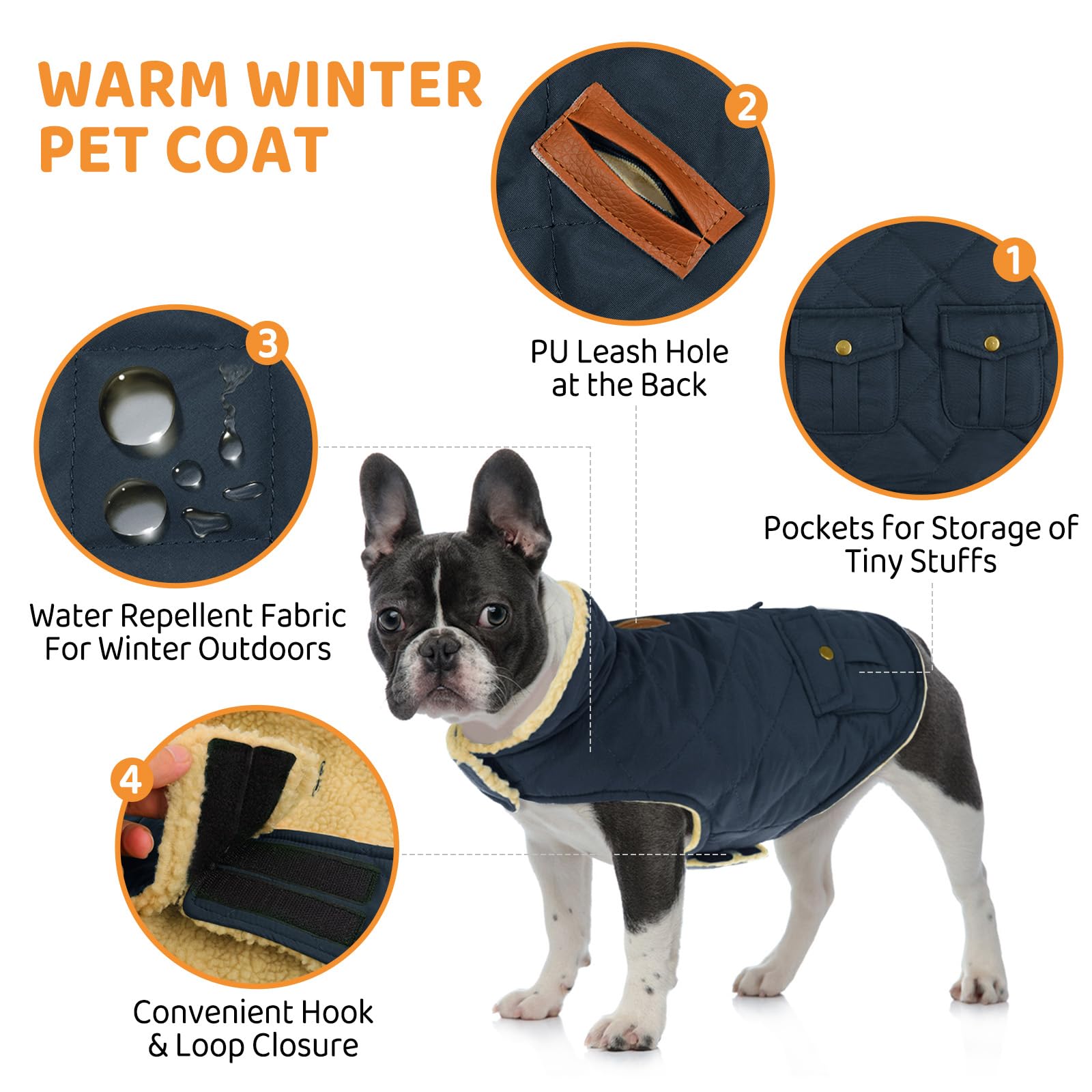 Queenmore Cappotto Cane Grande Caldo Impermeabile Per Bassotto, Bulldog Francese, Greyhound, Border Collie, Labrador, Blu, XL