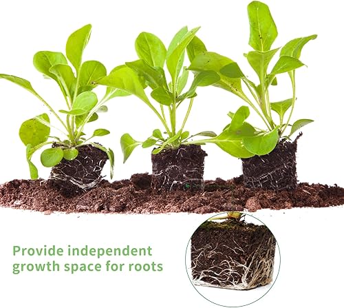 Miniatura 4 de AUPETEK Bloque de semillas de 2 pulgadas con probador de suelo 3 en 1 para el hogar, jardín, césped, granja, uso en interiores y exteriores,