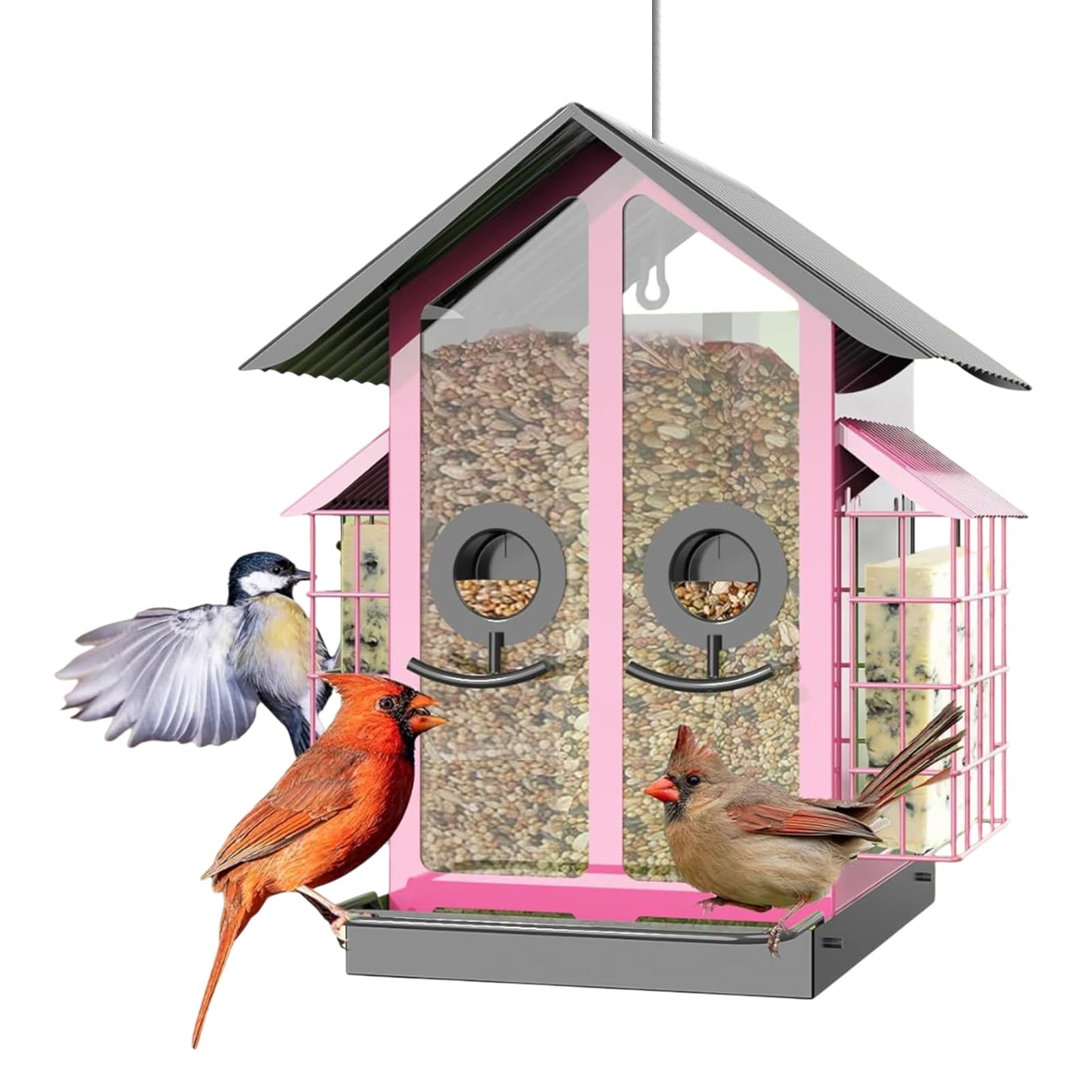 Mangiatoie Per Uccelli Da Esterno Anti Scoiattolo - Mangiatoia per Uccelli | Esterni in Metallo con Doppio Tetto, Per Birdwatching Da Balcone Giardino Terrazzo Per Appassionati Di Natura