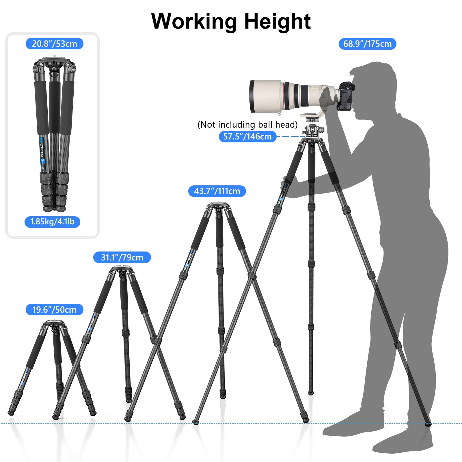 Treppiede per fotocamera in fibra di carbonio, portatile, da viaggio, resistente, WEYLLAN NX7, 10 strati in fibra di carbonio, gamba da 32,5 mm, compatibile con testa a sfera e testa fluida per