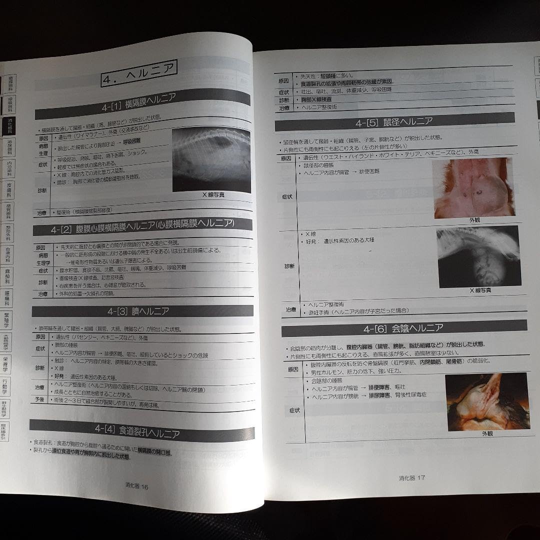 Amazon.co.jp: 獣医師国家試験対策 Vナビ : おもちゃ