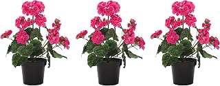DARO DEKO 3 Stück künstliche Geranie pink 34cm stehend im Topf Kunst-Blume Pelar — Empfehlung für Farbige Blüten für