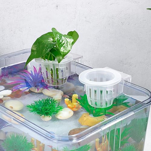 Miniatura 8 de POPETPOP Soporte para plantas de acuario 4 soportes para plantas de pecera con ganchos para colgar macetas de acuario para decoraciones de peceras