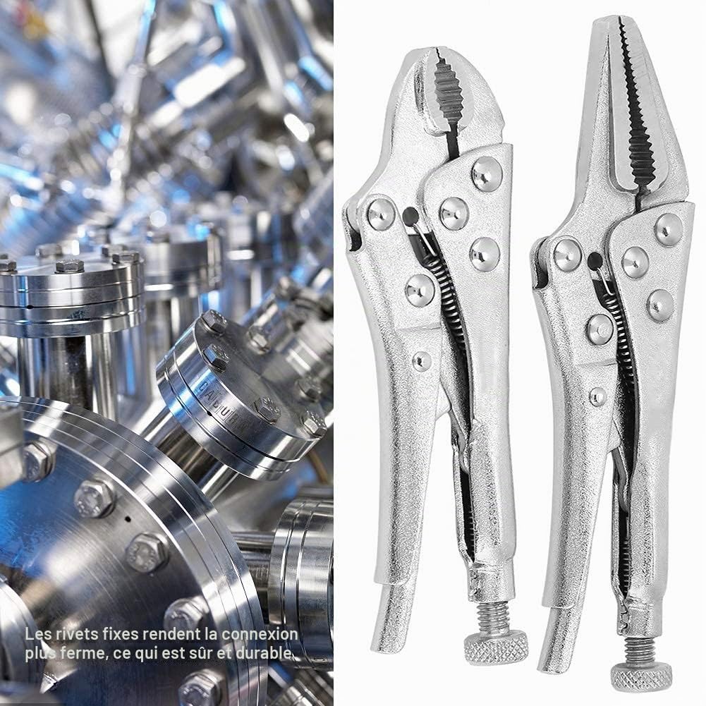 2 Pièces Jeu de Pinces-étau en Acier à Haute Teneur en Carbone Pinces-étau à Mâchoire Droite de Verrouillage Ensemble Outils à Main