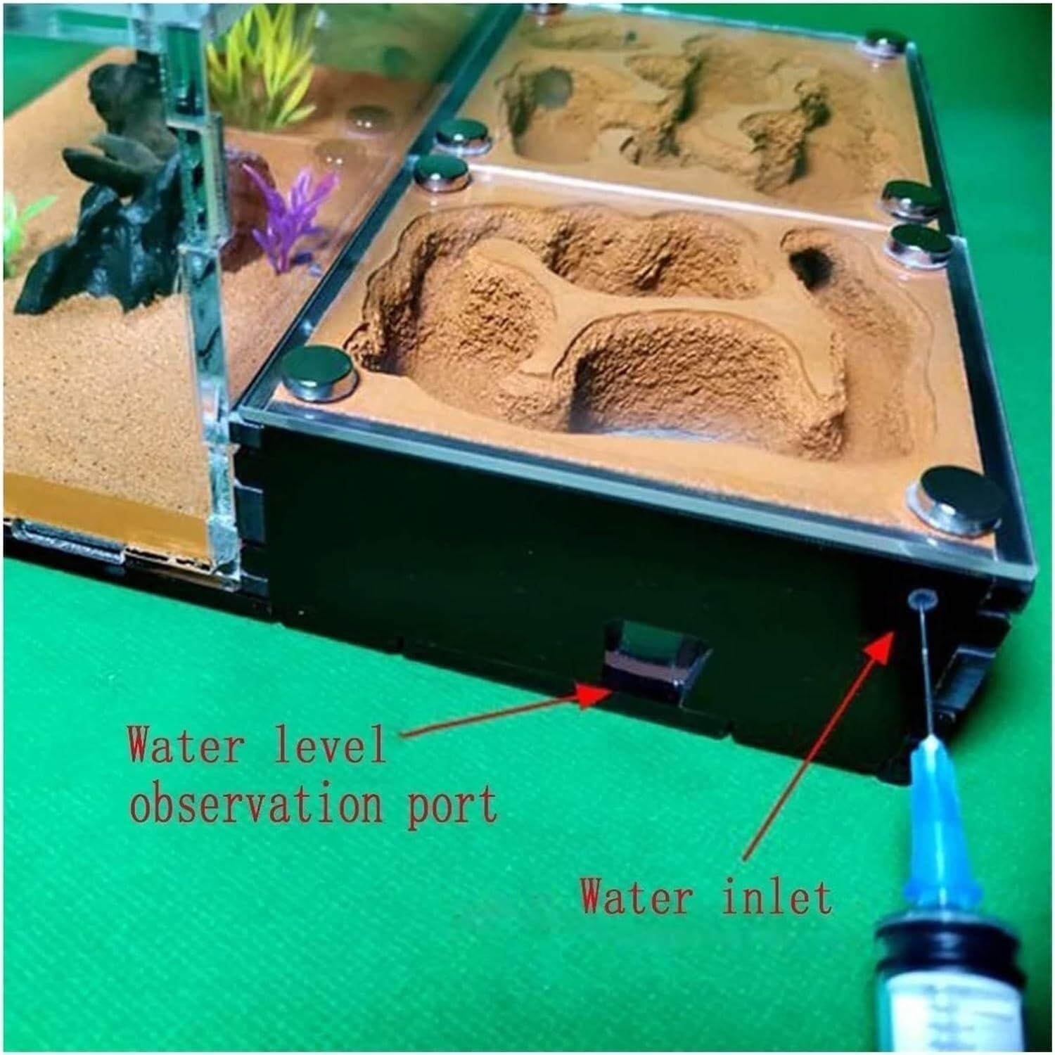 Ant Nest Granja De Hormigas, Hormiguero para Granja De Hormigas, Estudio del Comportamiento De Las Hormigas, Nido De Hormigas, Terrario, Formicario Educativo Granja Hormigas