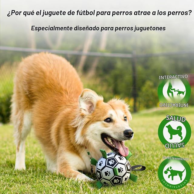 Foto 4 de 8 de HETOO Pelota de Juguete para Perros, Pelota de fútbol para Perros con asa