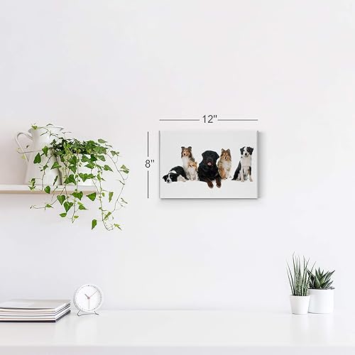 Vista 47 de Smile Art Design Border Collie Bulldog Rottweiler Cachorro Persa Gatito Animal Lienzo Impresión Arte de Pared Pet Cat Dog Lover Sala Dormitorio