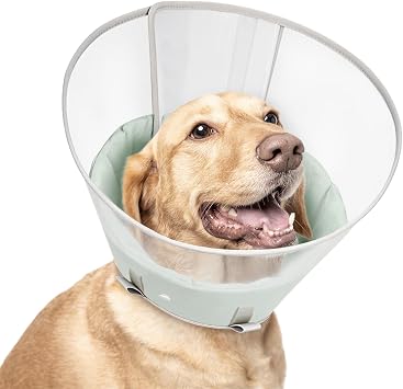 Dog Cone Collar with Snap-on Detachable Soft Liner, Lightweight Transparent Elizabethan Alternative to Stop Licking, for Spay Neuter Surgery Recovery, for Medium Large Small Dogs Green,L