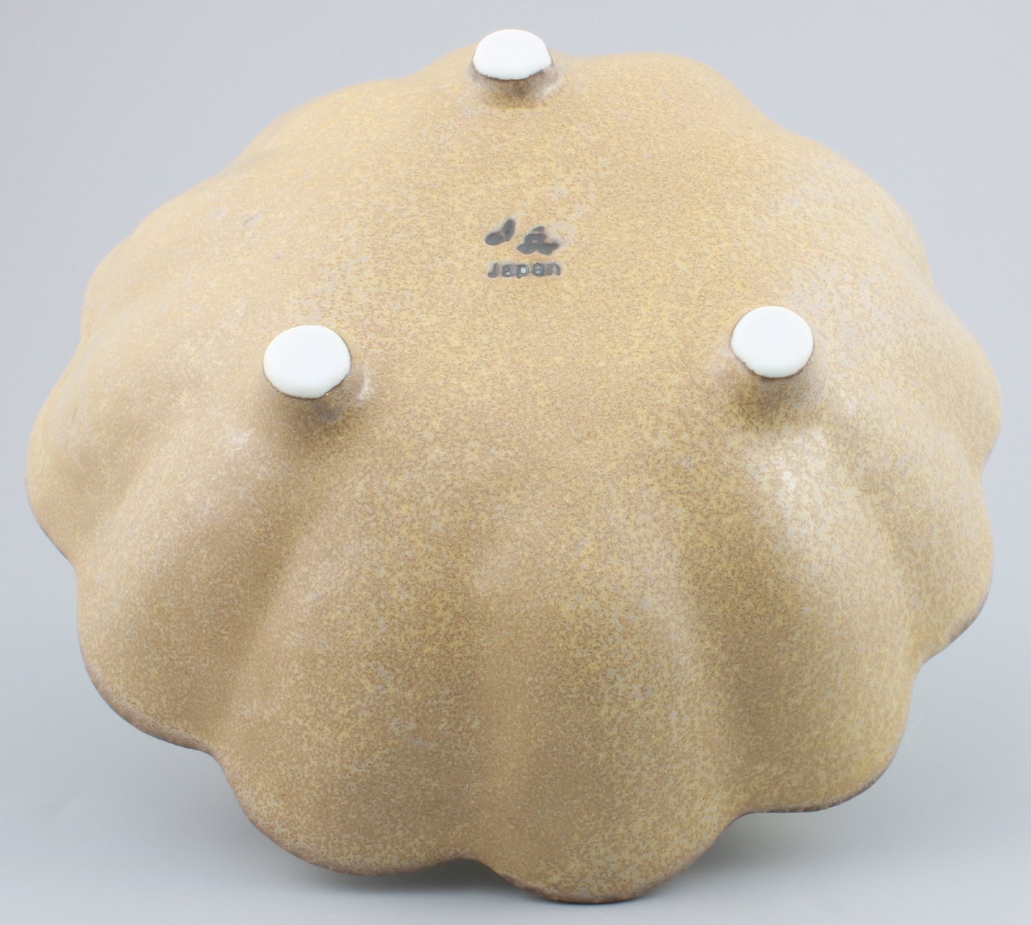 Amazon｜美濃焼 カネコ小兵 「 リンカ 」 ボウル 皿 中鉢 茶 練輪花