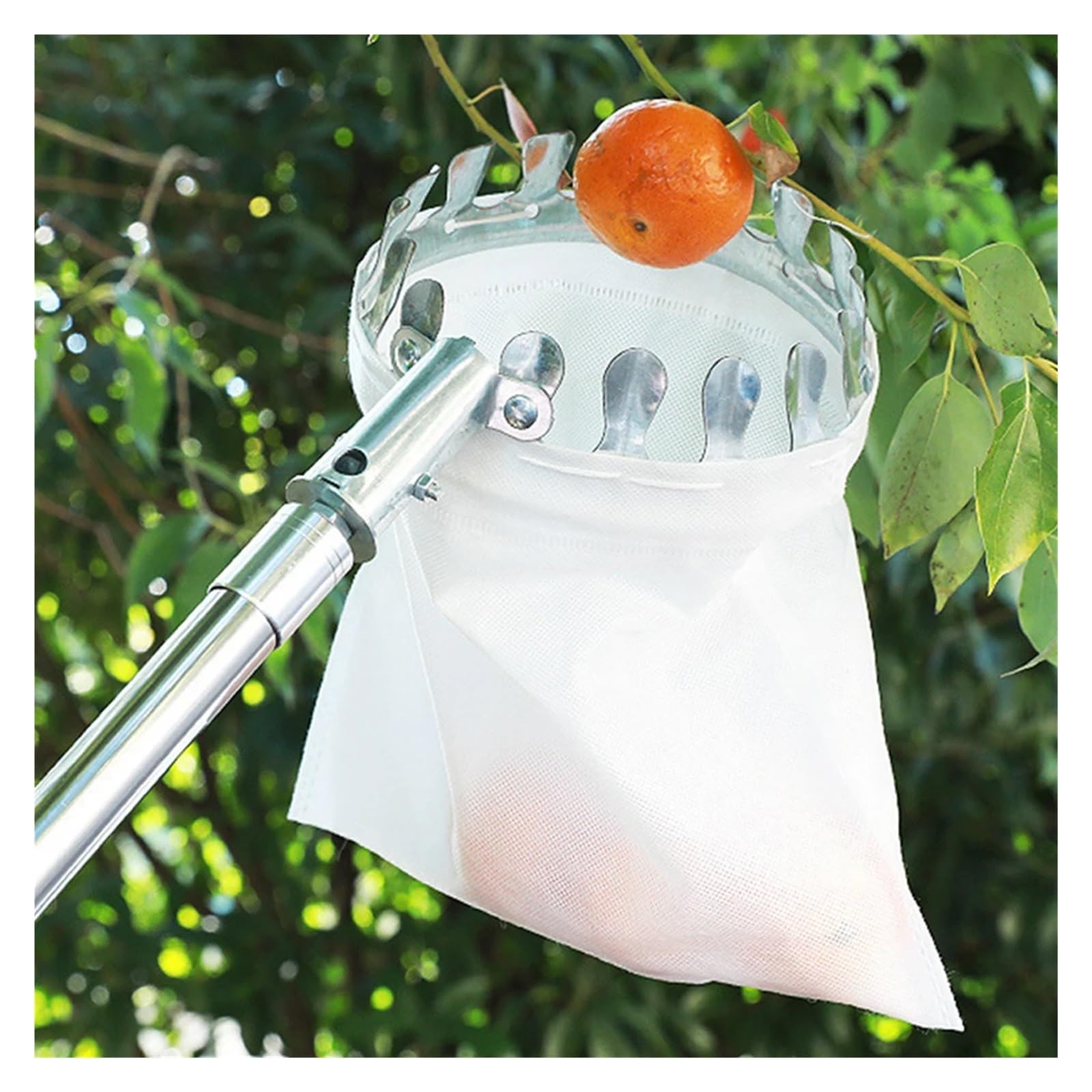 Recogedor De Frutas Recolector de frutas de 3,89 m, con pértiga telescópica ajustable, herramienta práctica for huertos, jardín, for manzanas, mangos, limones y naranjas.