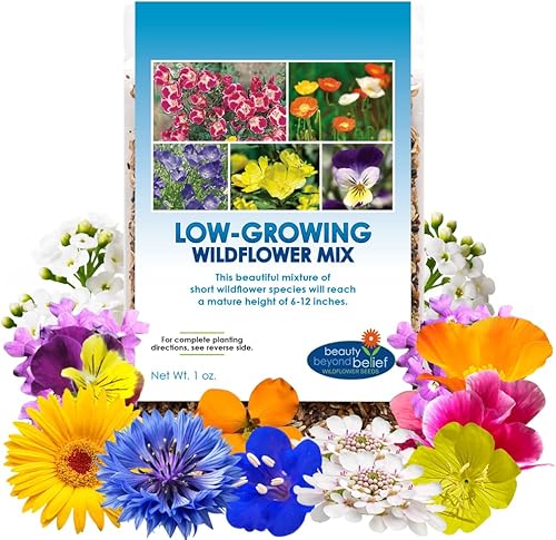 Low Growing Wildflower Seeds Mix - 1oz, 6-12 Inches Short Flowers – Non-GMO Natural Mix of Annual & Perennial Garden Seeds with High Germination Rate