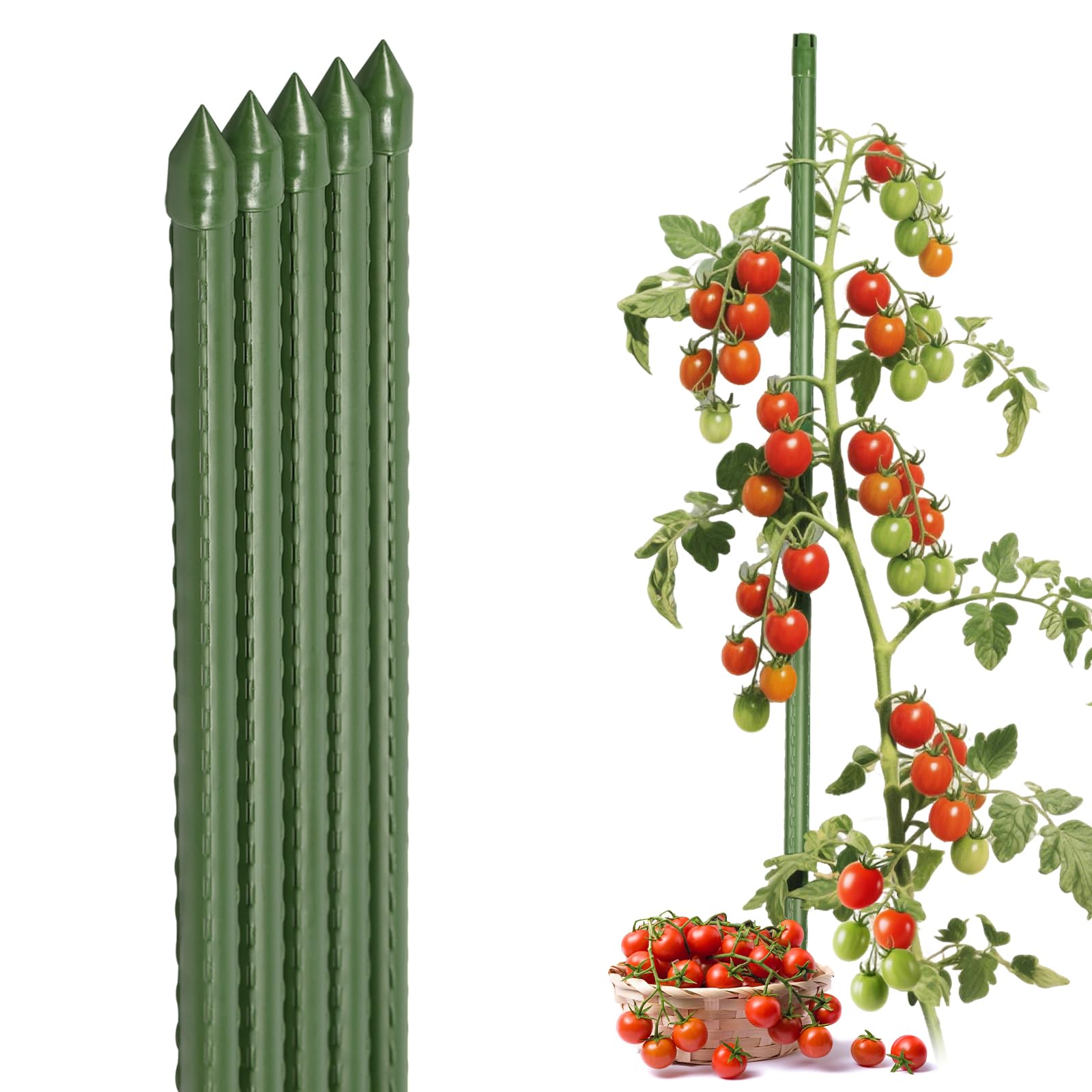 Sekey Tomaten Rankhilfe, Pflanzenstütze für Gurken, Bohnen, Himbeeren, Blumen, Kunststoff Beschichtetes Stahlrohr Rostfrei Pflanzenstäbe, 75 cm x 8 mm, 5 Stück