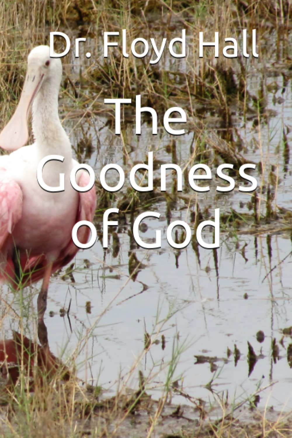 The Goodness of God