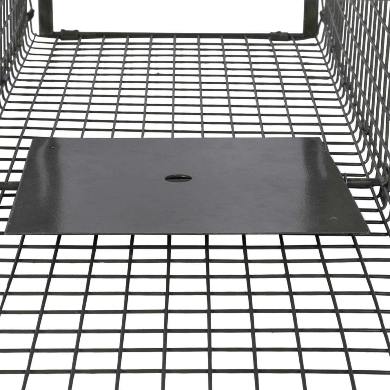 LAPOOH Trampa para Animales Vivos 2 Puertas, Trampa para Gatos, Jaula Trampa Pajaros, Jaula Trampa Palomas, Jaulas Atrapa Gatos, Jaula Trampa para Conejos