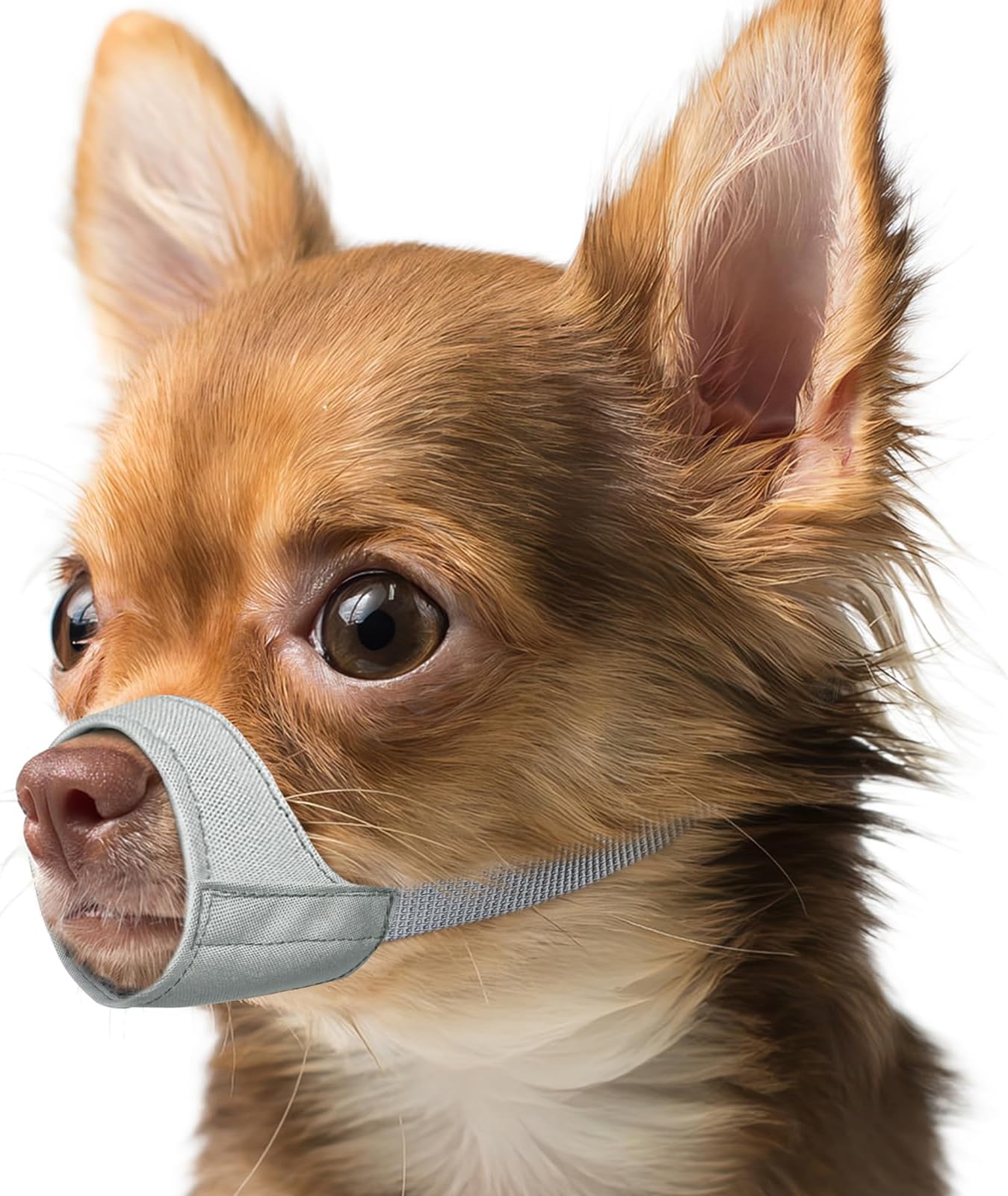 Mayerzon Short Snout Dog Muzzle, Small Muzzle for Chihuahua, American Bully Boxer Puppies, Soft Fabric, Mouth Cover for Vet Visits and Prevents Biting or Chewing