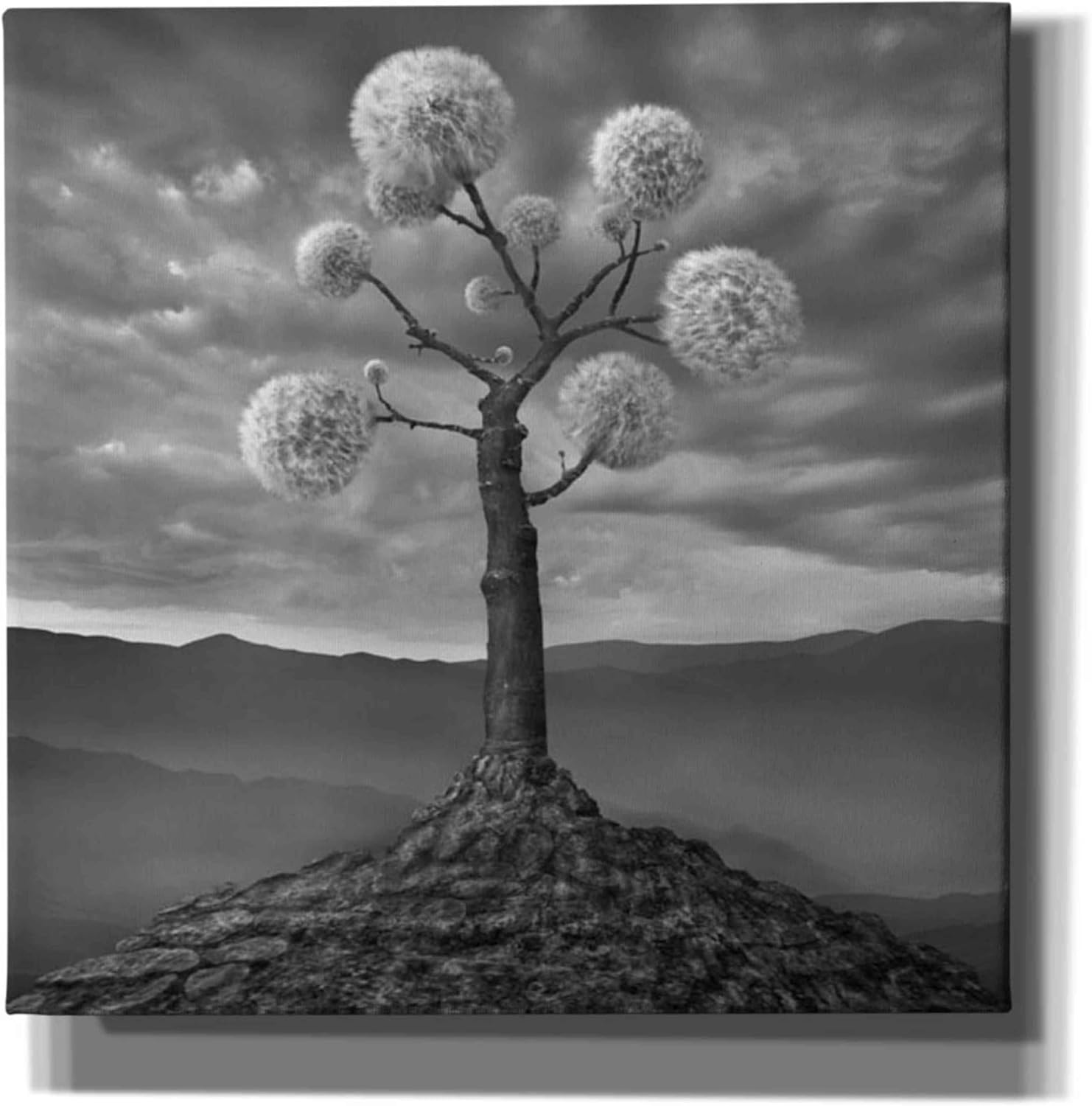 Epic Graffiti 'Dandelion' by Dariusz Klimczak, Canvas Wall Art, 12"x12"